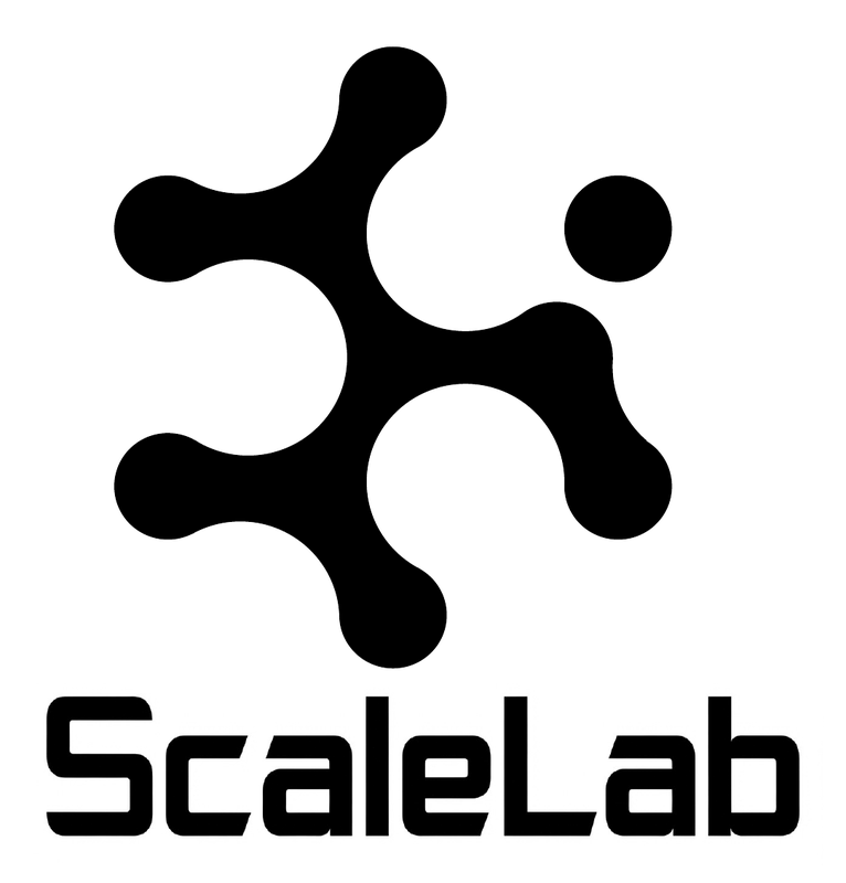 上海交通大学空间认知与机器人自主智能实验室 logo